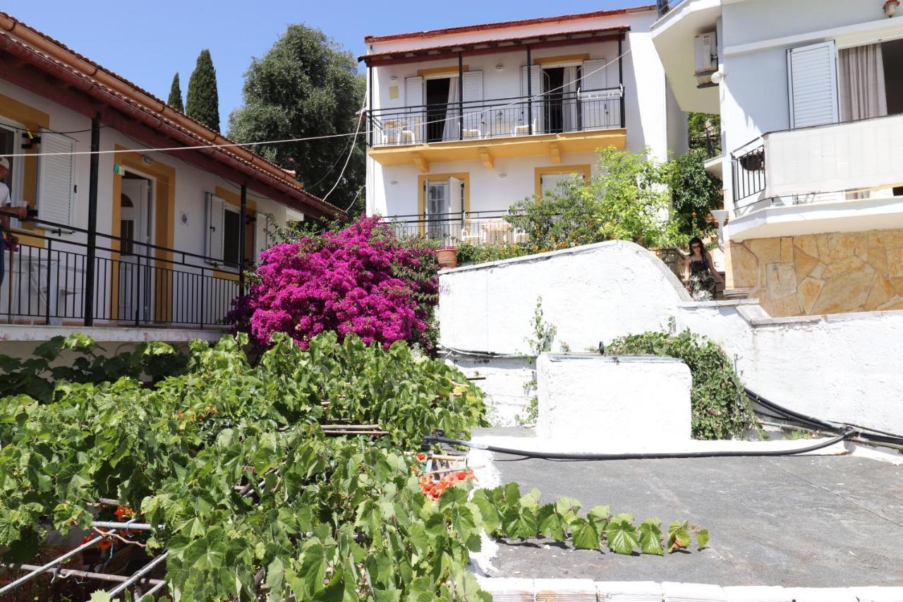 Antigone * Kassiopi