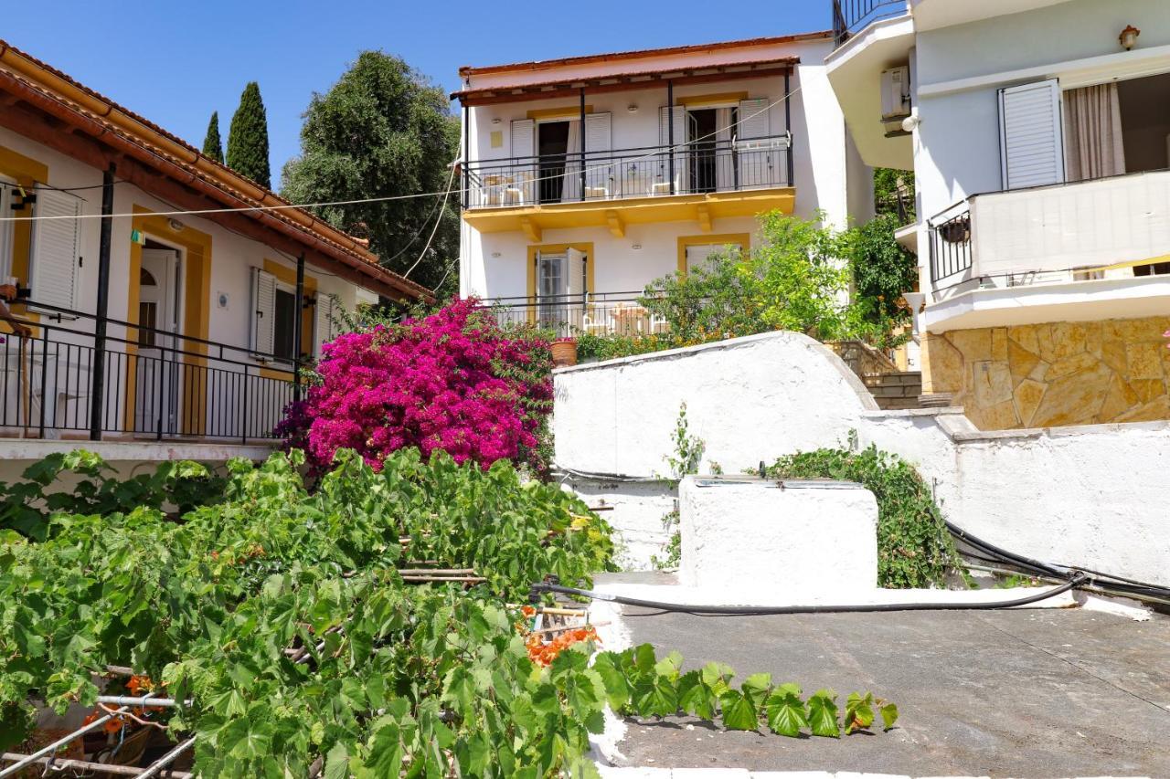 Antigone * Kassiopi